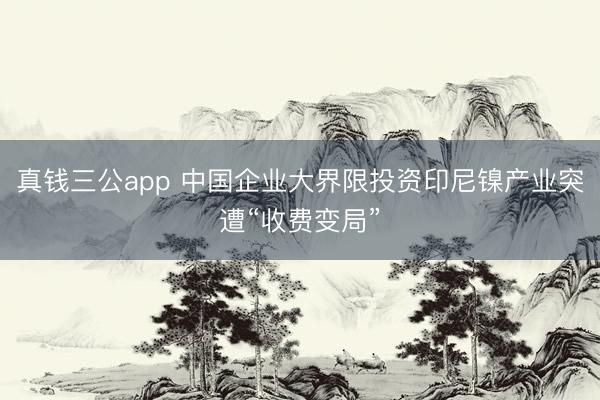 真钱三公app 中国企业大界限投资印尼镍产业突遭“收费变局”