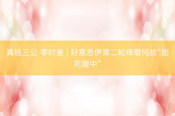 真钱三公 零时差 | 好意思伊第二轮琢磨何故“胎死腹中”