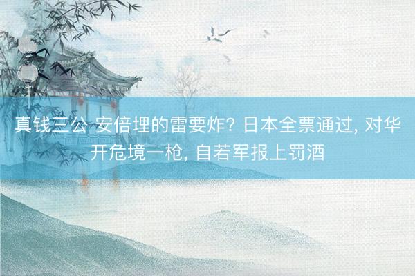 真钱三公 安倍埋的雷要炸? 日本全票通过, 对华开危境一枪, 自若军报上罚酒